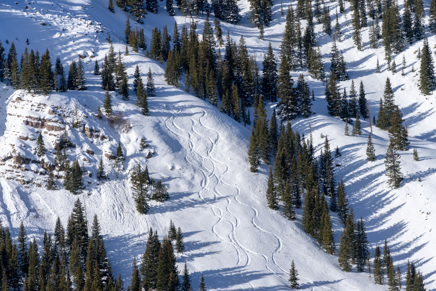 First tracks